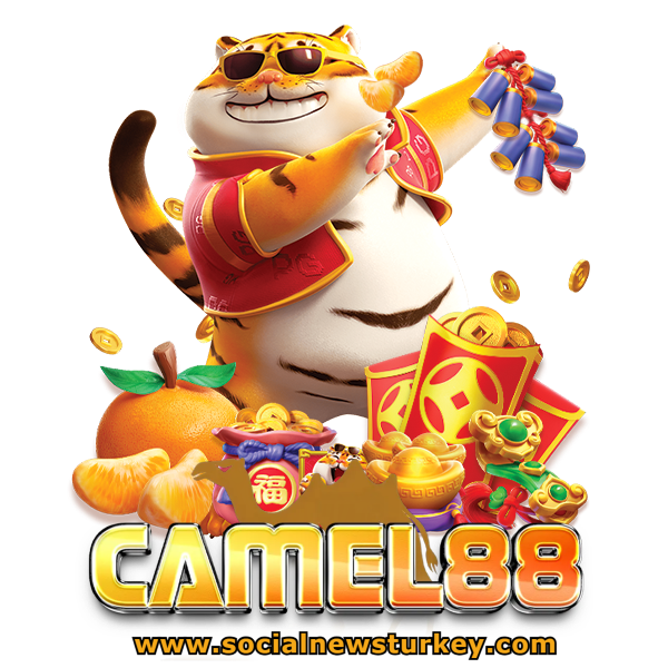 camel88 ทางเข้า