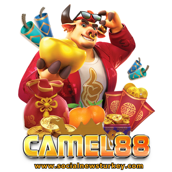camel 88