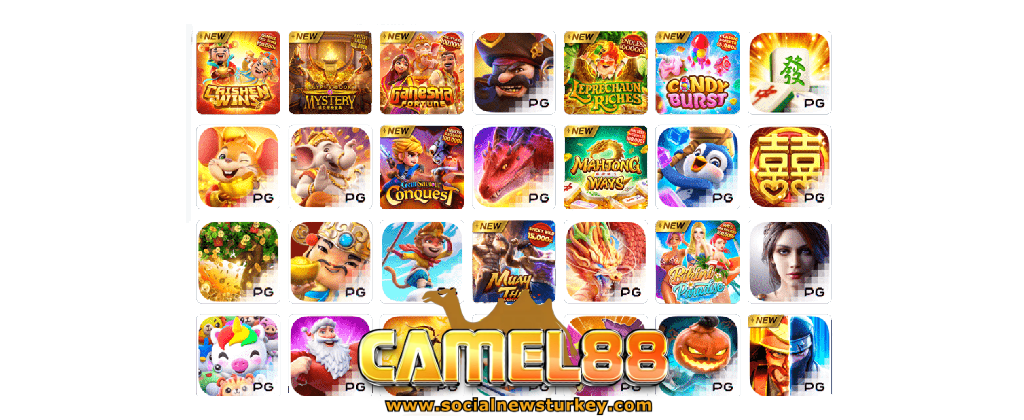 camel88 เว็บตรง